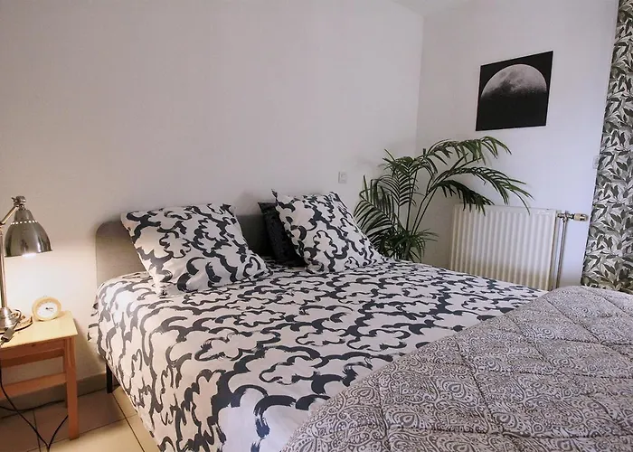 Confortable T3 Esplanade De L\'Europe